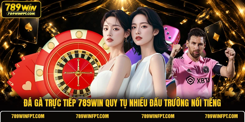 Đá gà trực tiếp 789WIN quy tụ nhiều đấu trường nổi tiếng 