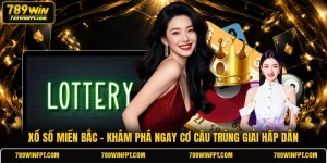 Xổ Số Miền Bắc - Khám Phá Ngay Cơ Cấu Trúng Giải Hấp Dẫn